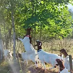Familienferienhof Berger Σπίτι διακοπών Wolpadingen